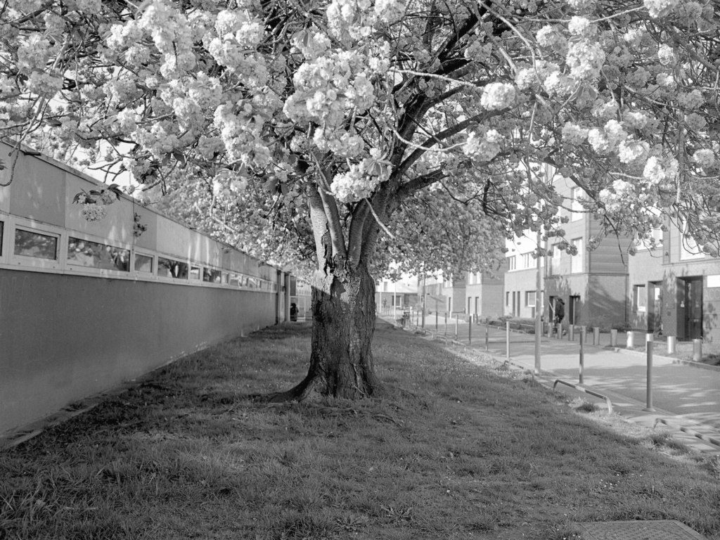 quartier 